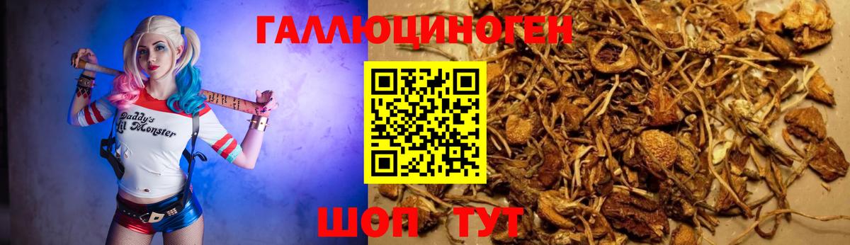Псилоцибиновые грибы мицелий Фурманов