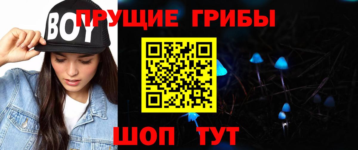 Фурманов  Галлюциногенные грибы Magic Shrooms  Вход с VPN 
